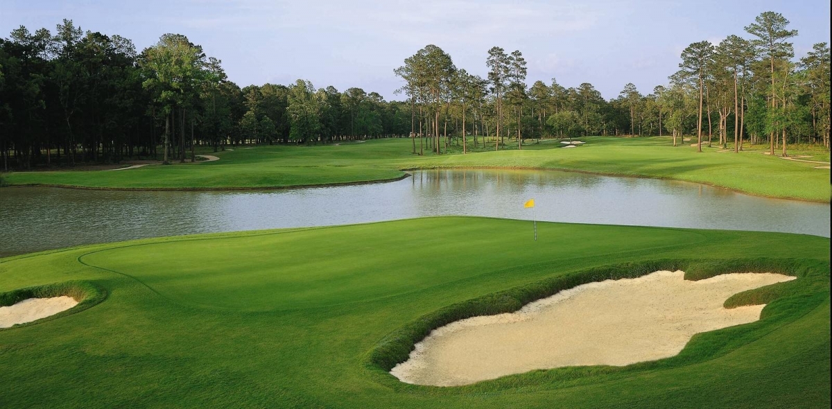CARTER PLANTATION GOLF COURSE Golf Deals